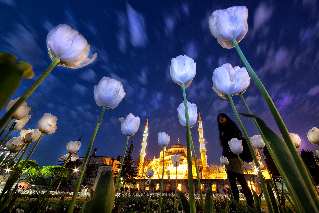 Sultan Ahmed Mosque — image 5